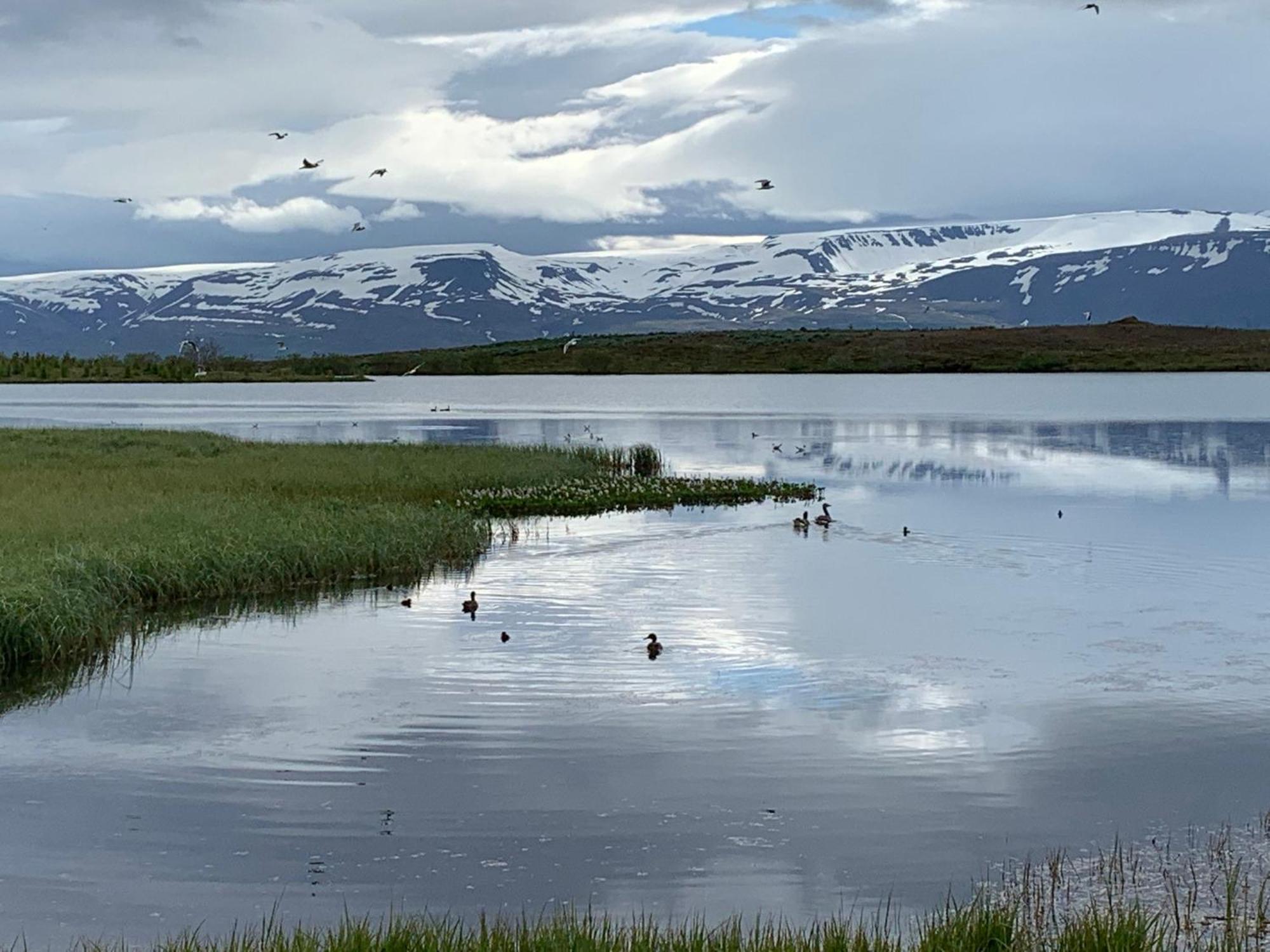 Kaldbaks-Kot Cottages Husavik Luaran gambar